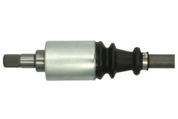 Planetara Pascal G2C031PC