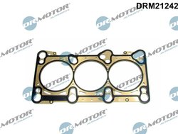 Garnitura chiuloasa Dr.Motor Automotive DRM21242