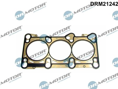 Garnitura chiuloasa Dr.Motor Automotive DRM21242