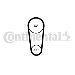Curea distributie CONTINENTAL CT1246