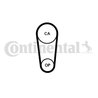 Curea distributie CONTINENTAL CT1246