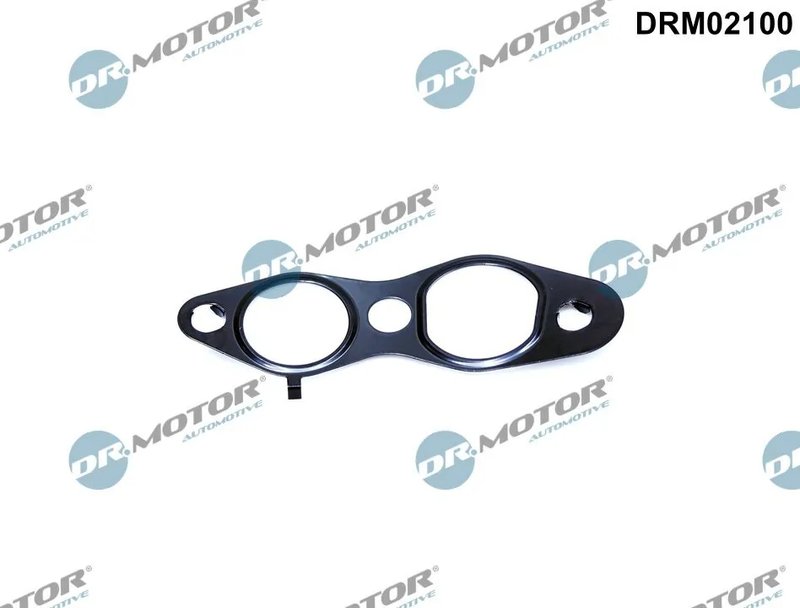 GARNITURA VENTIL AGR DR.MOTOR AUTOMOTIVE DRM02100 - Compatibil cu CITROEN, DS, FIAT, FORD, PEUGEOT, TOYOTA