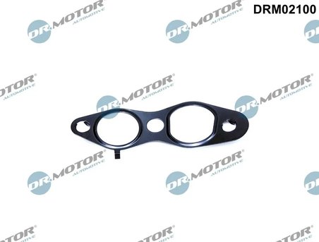GARNITURA VENTIL AGR DR.MOTOR AUTOMOTIVE DRM02100 - Compatibil cu CITROEN, DS, FIAT, FORD, PEUGEOT, TOYOTA
