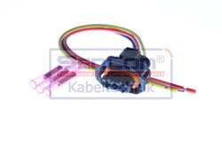 SET REPARAT CABLURI, SENZOR PRESIUNE COMBUSTIBIL SENCOM 20655 - Compatibil cu ALFA ROMEO, FIAT, FORD, FORD AUSTRALIA, HONDA, LAN