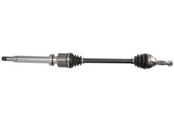 Planetara Pascal G2G021PC