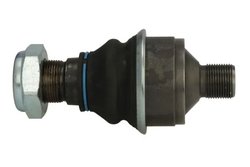 PIVOT REINHOCH RH54-A100 - Piesa auto compatibila cu mai multe marci