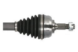 Planetara Pascal G2C069PC