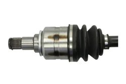 Planetara Pascal G22003PC