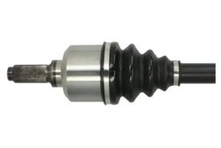 PLANETARA PASCAL G2P052PC - Compatibil cu PEUGEOT