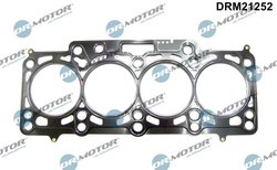 Garnitura chiuloasa Dr.Motor Automotive DRM21252