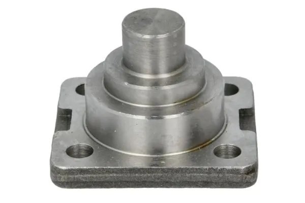 PIVOT S-TR STR-15A150 - Piesa auto compatibila cu mai multe marci