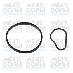 Garnitura, pompa vacuum Meat & Doria 91252