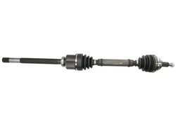 Planetara Pascal G2R175PC