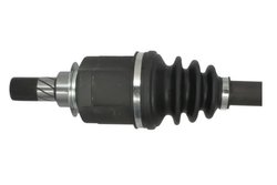 Planetara Pascal G2R193PC