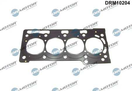 Garnitura chiuloasa Dr.Motor Automotive DRM10204