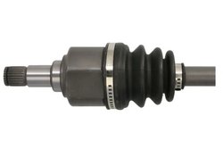 Planetara Pascal G2G011PC