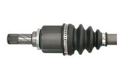 Planetara Pascal G2R134PC