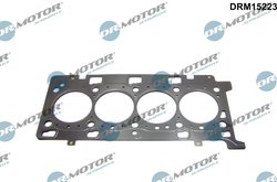 Garnitura chiuloasa Dr.Motor Automotive DRM15223