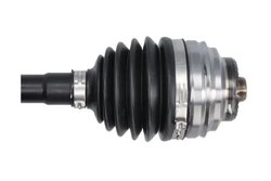 Planetara Pascal G2B038PC
