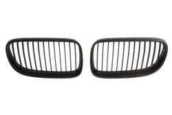 Grila radiator BLIC 6502-07-0062911KP