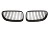 Grila radiator BLIC 6502-07-0062911KP