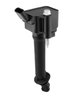 Bobina de inductie BorgWarner (BERU) ZSE293