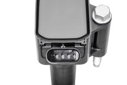 Bobina de inductie BorgWarner (BERU) ZSE293