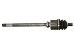 Planetara Pascal G2X001PC