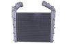 Intercooler Thermotec DAMA012TT