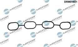 GARNITURA GALERIE ADMISIE DR.MOTOR AUTOMOTIVE DRM01921 - Compatibil cu LOTUS, TOYOTA