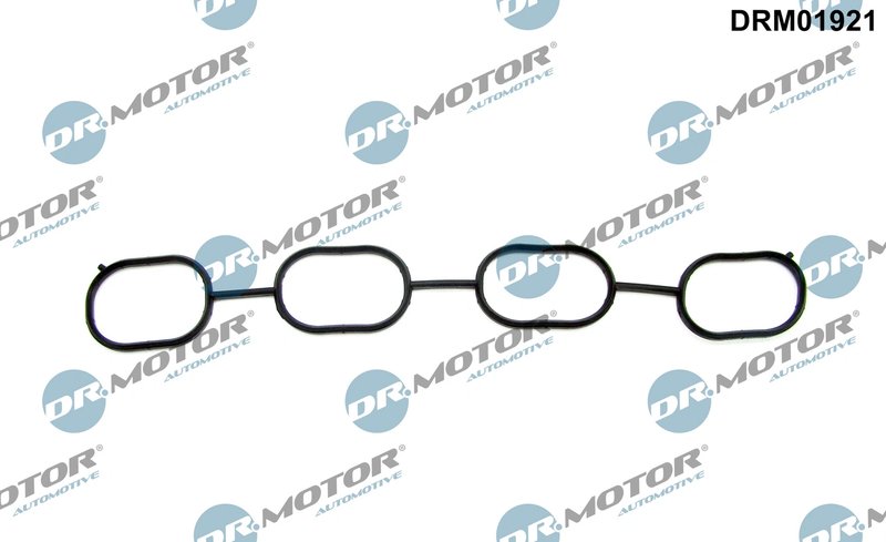 GARNITURA GALERIE ADMISIE DR.MOTOR AUTOMOTIVE DRM01921 - Compatibil cu LOTUS, TOYOTA