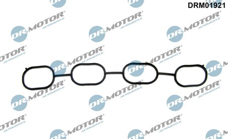 GARNITURA GALERIE ADMISIE DR.MOTOR AUTOMOTIVE DRM01921 - Compatibil cu LOTUS, TOYOTA