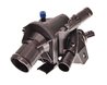 TERMOSTAT LICHID RACIRE MAXGEAR 67-0138 - Compatibil cu RENAULT
