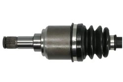 Planetara Pascal G2F001PC