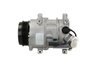 Compresor climatizare PSH 090.555.019.050