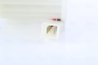 VENTILATOR HABITACLU NISSENS 87640 - Compatibil cu IVECO