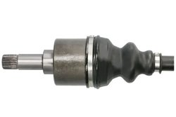 Planetara Pascal G2C001PC