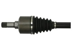 Planetara Pascal G2C173PC