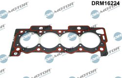 Garnitura chiuloasa Dr.Motor Automotive DRM16224