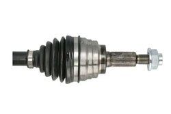 Planetara Pascal G28012PC