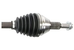 Planetara Pascal G2Y006PC