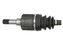 Planetara Pascal G2Y006PC