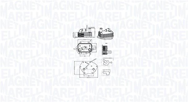 Radiator ulei / termoflot Magneti Marelli 350300002600