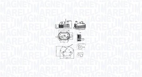 Radiator ulei / termoflot Magneti Marelli 350300002600
