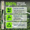 LAMELA STERGATOR VALEO 583946 - Compatibil cu ALPINA, AUDI, BMW, FIAT, FORD, HONDA, JAGUAR, LAND ROVER, LYNK & CO, MAZDA, MERCED