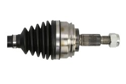 Planetara Pascal G2R179PC