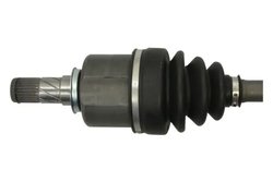 Planetara Pascal G2B041PC