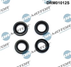 ETANSARE, SUPORT INJECTOR DR.MOTOR AUTOMOTIVE DRM01012S - Compatibil cu CHEVROLET, OPEL, VAUXHALL