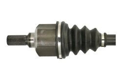 Planetara Pascal G2C182PC