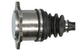 Planetara Pascal G22026PC